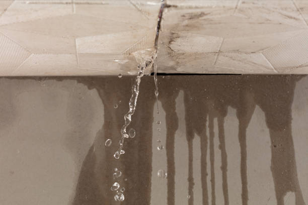 Professional Structural Drying technician working in Wharton, WV